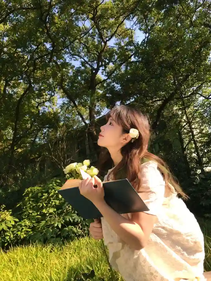 楷体字应用案例